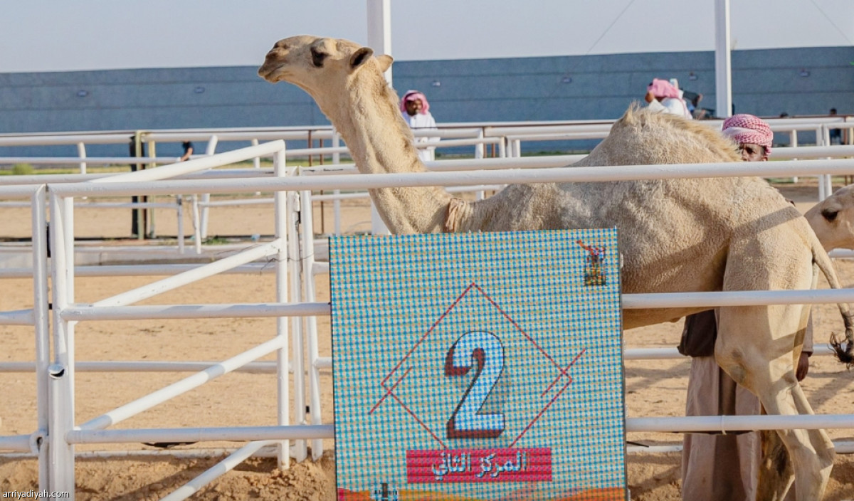 مفاريد الجادة