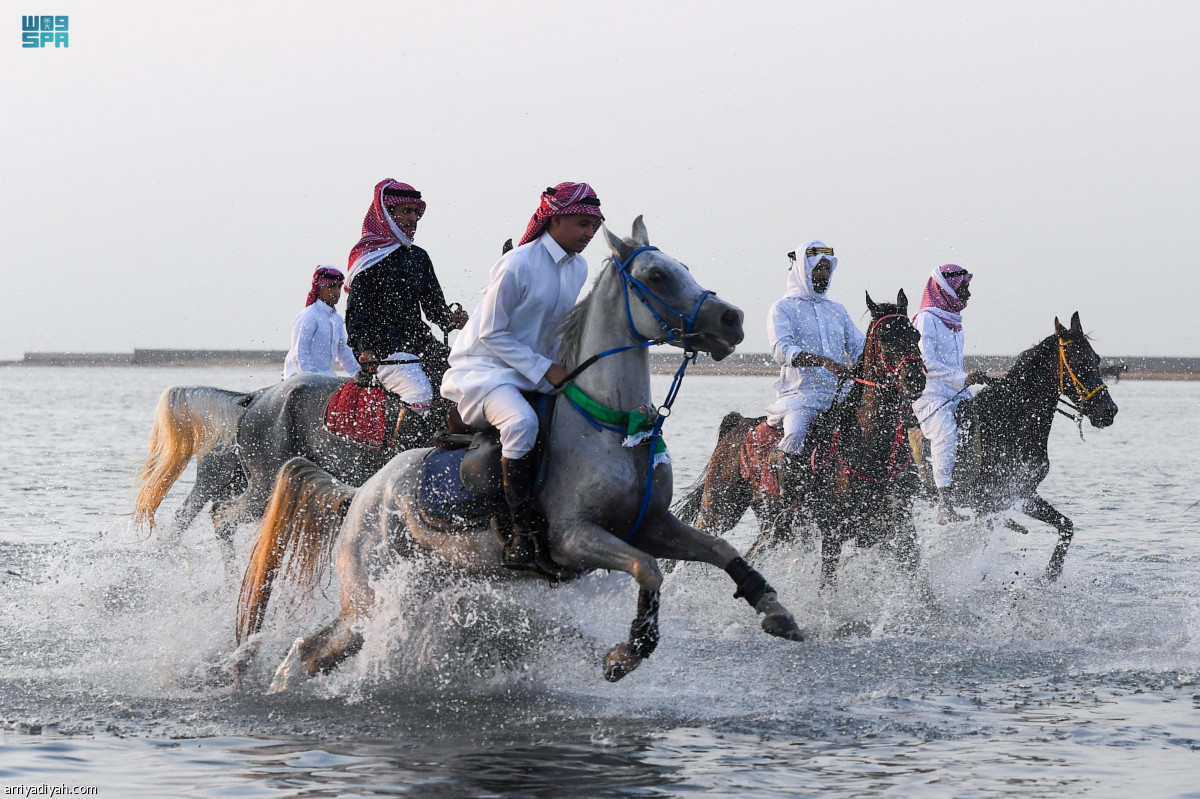 بالخيول أهالي جدة يحتفلون