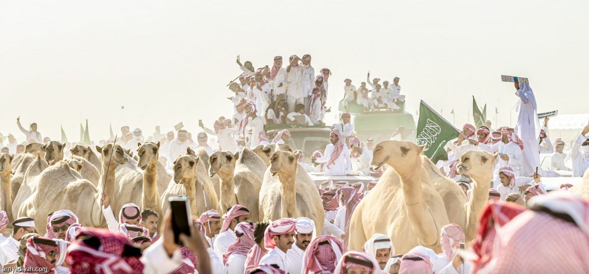 شقح النصر