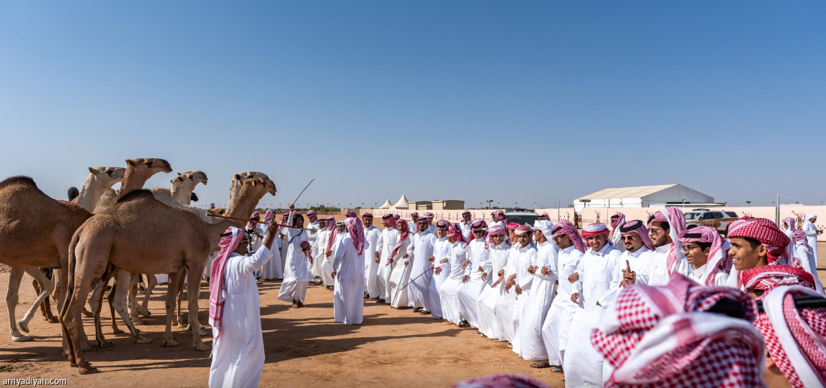 ختام الجادة